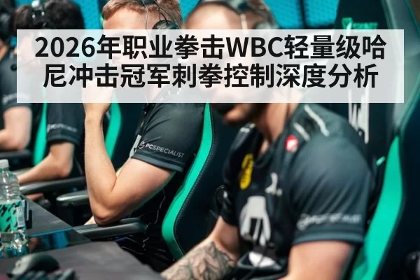 2026年职业拳击WBC轻量级哈尼冲击冠军刺拳控制深度分析
